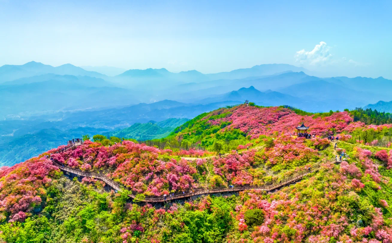 賞花香爐關